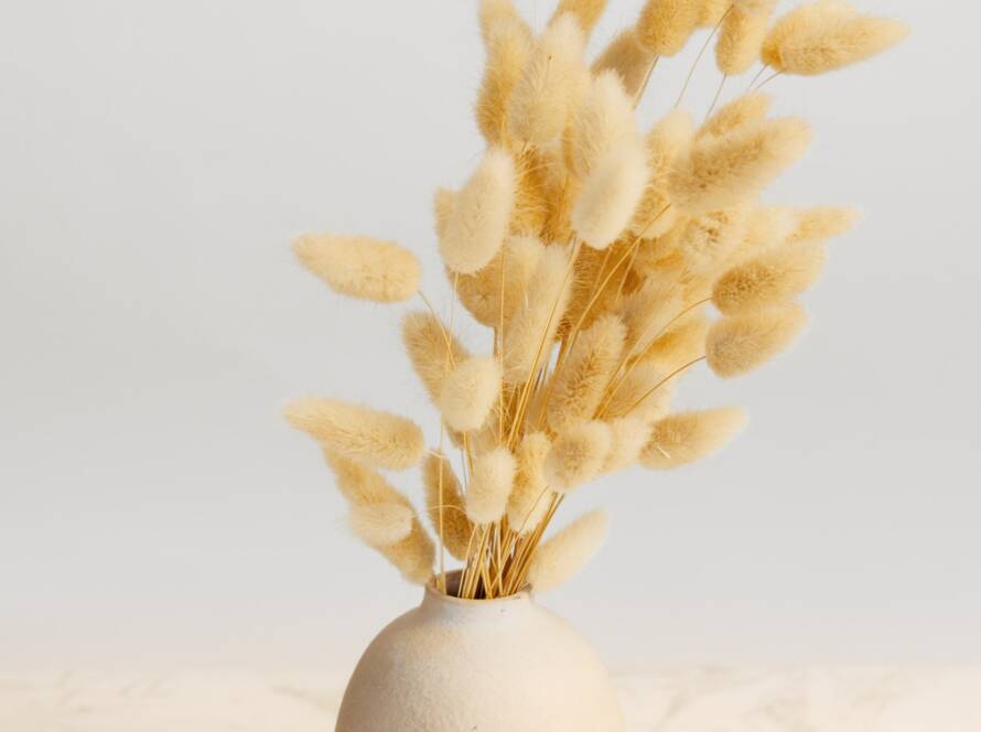 A vase of dried bunny tails. Pale yellow flowers in a cream ceramic vase on a light background.